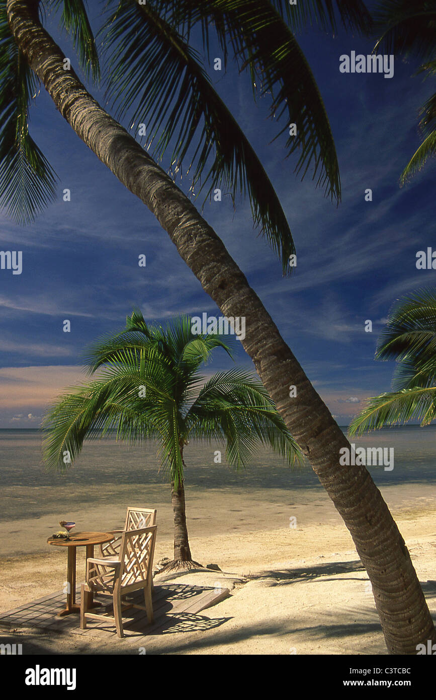 Tabella romantica per due su un privato spiaggia tropicale con palme da cocco tress Little Palm Island, Florida Keys USA Foto Stock