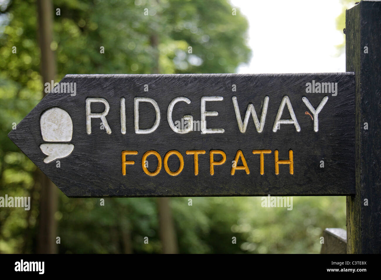 Segno post indicando la via lungo la Ridgeway National Trail sentiero vicino Wendover, Chilterns, UK. Maggio 2011 Foto Stock