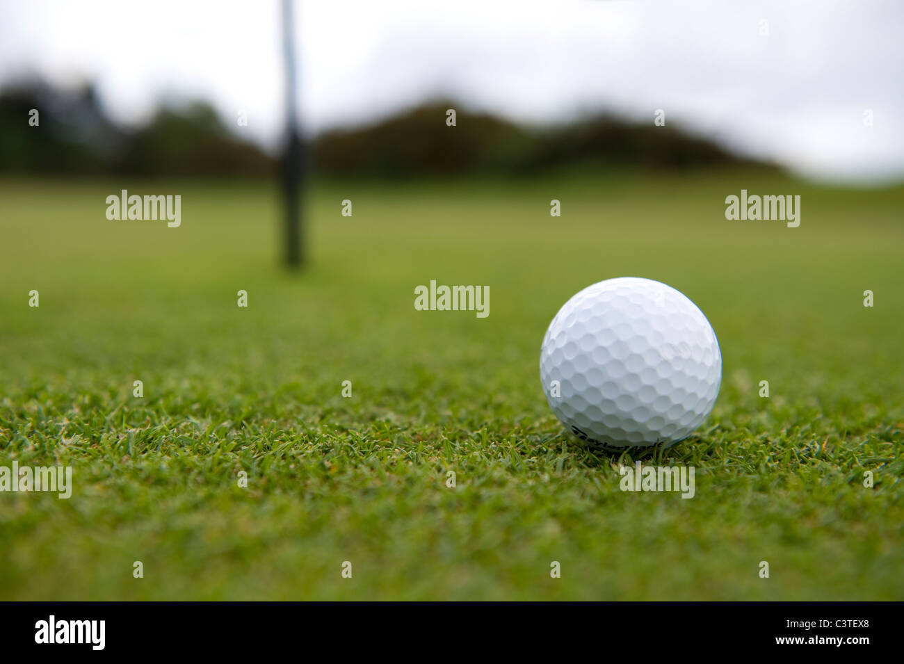 Palla da golf sul green in stretta prossimità al foro. Foto Stock