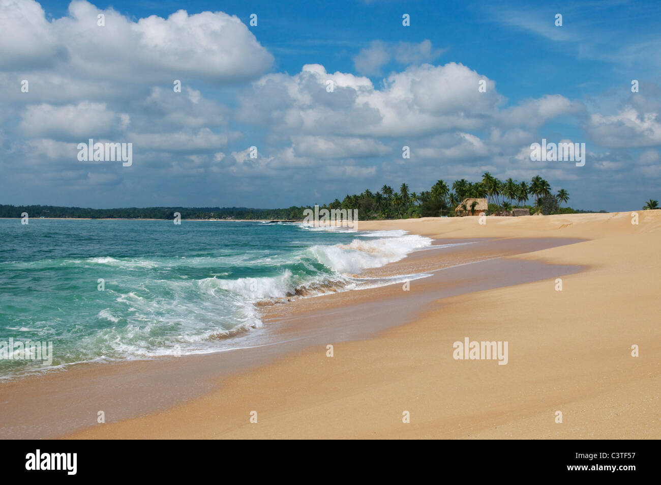La spiaggia incontaminata spiaggia Marakolliya Tangalla costa meridionale dello Sri Lanka Foto Stock