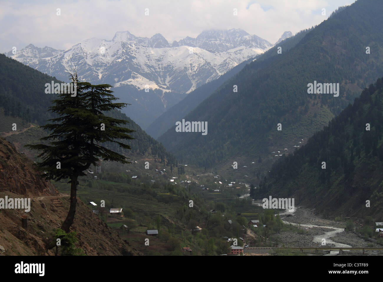 Vally in Kashmir Foto Stock