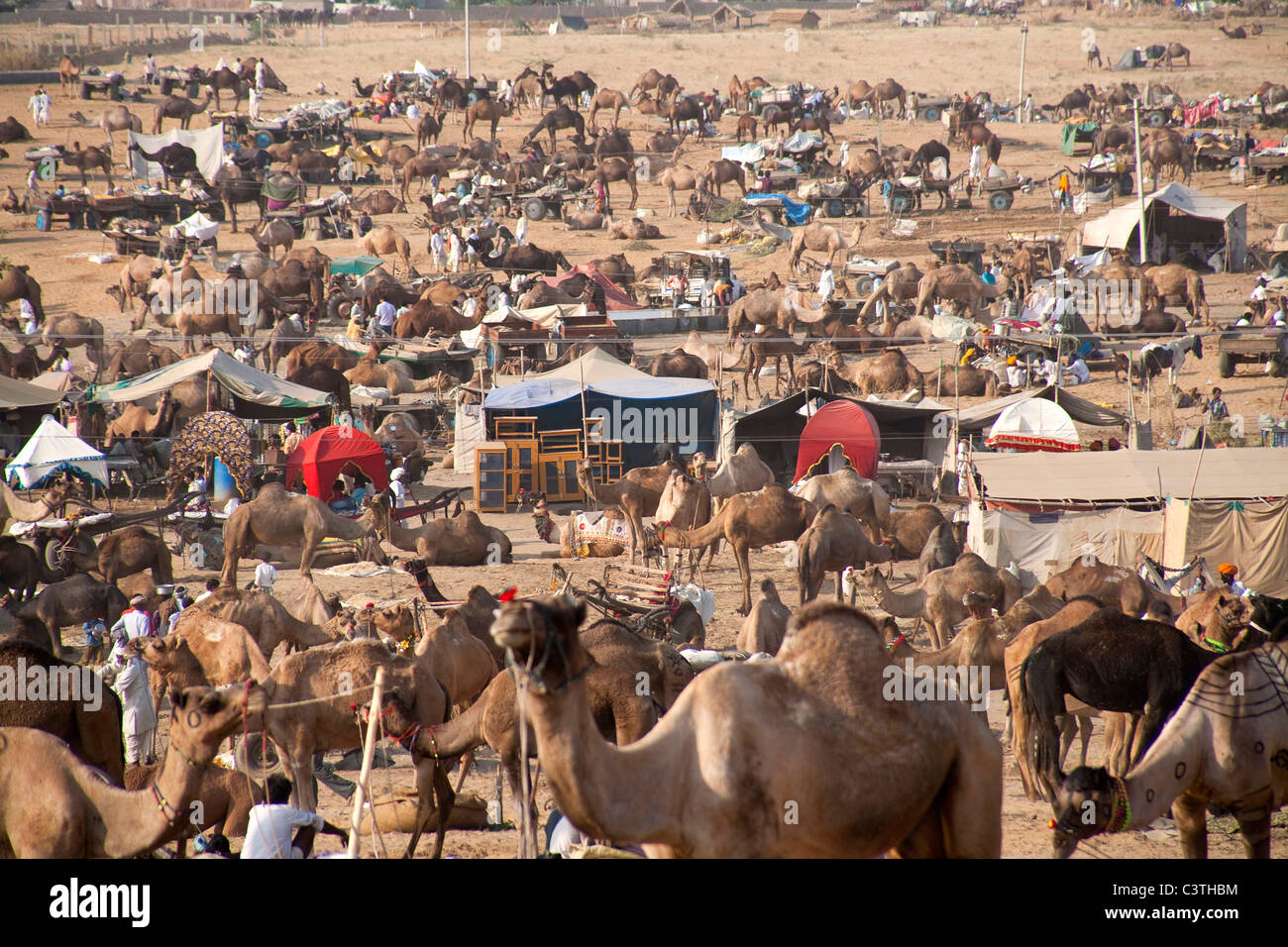 Popolo Indiano e vita quotidiana durante il cammello annuale fiera di Pushkar, Rajasthan, India, Asia Foto Stock