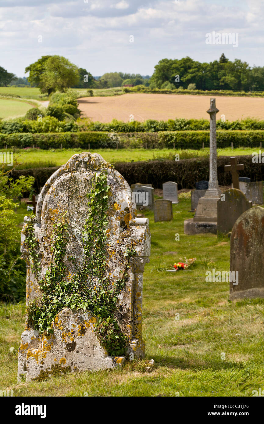Vecchio, coperto di edera xix secolo lapide nel cimitero rurale impostazione, Norfolk, Inghilterra, Regno Unito. Foto Stock