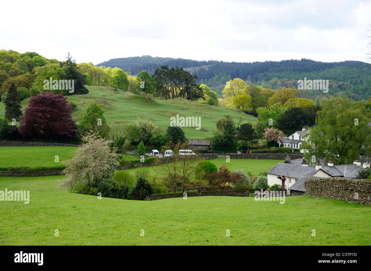 Le aziende agricole in Near Sawrey Foto Stock