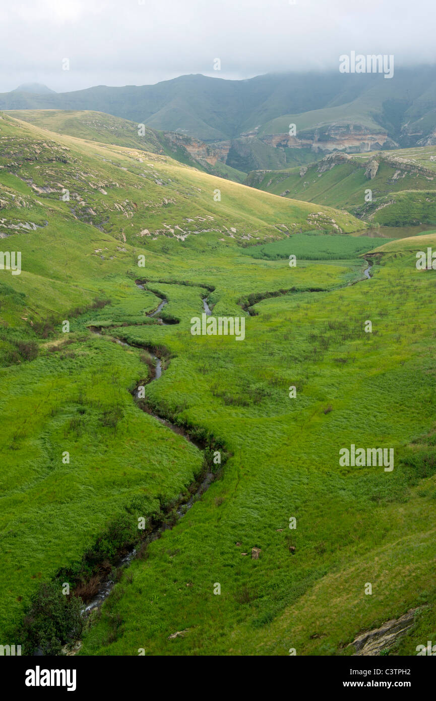 Scenario, Golden Gate Highlands National Park, Sud Africa Foto Stock