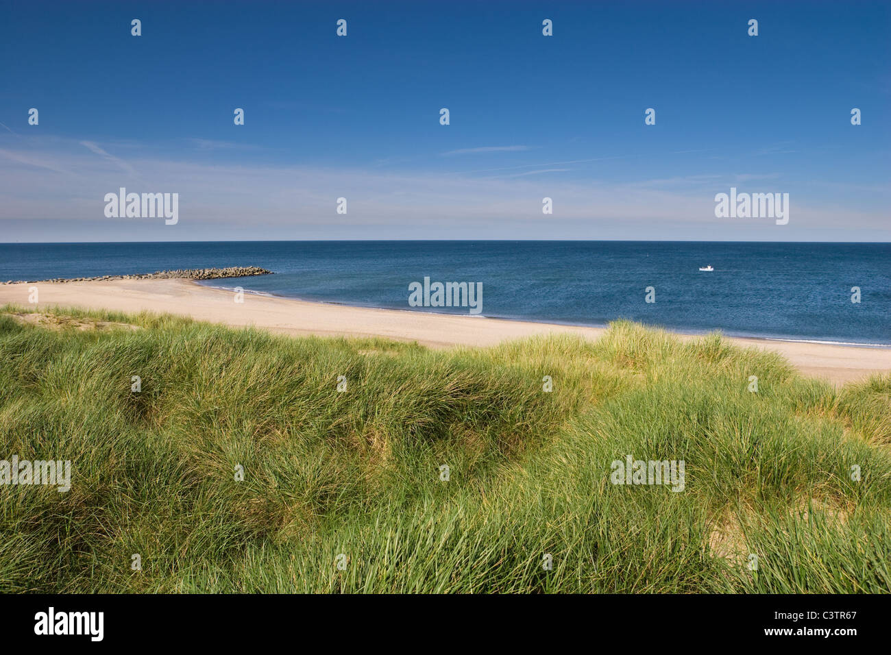 Bella spiaggia deserta di Agger, nello Jutland, Danimarca con erba e dune Foto Stock