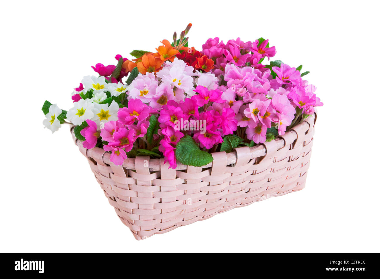 Cesto di fiori di colore rosa Foto Stock