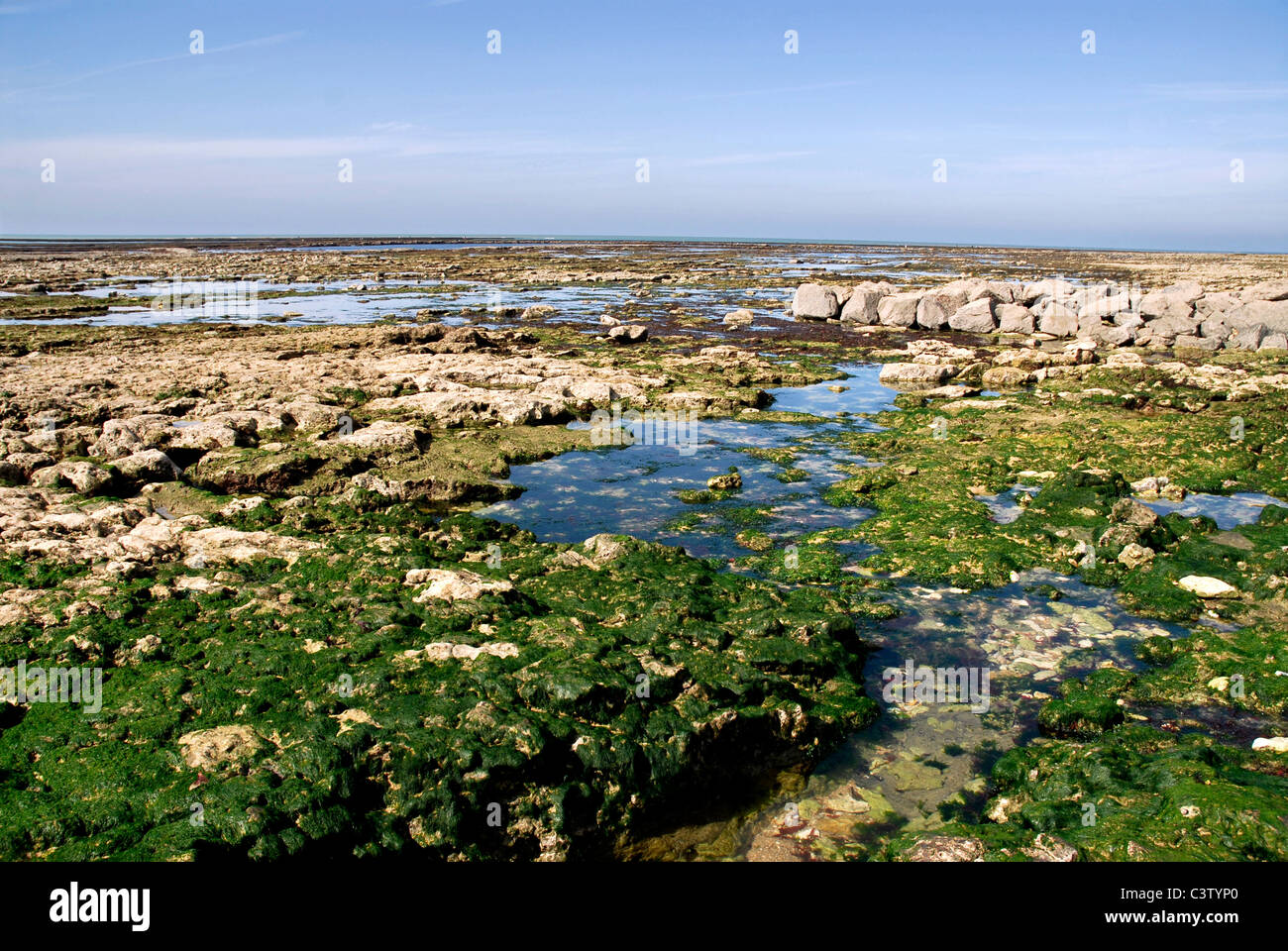 La bassa marea scoprendo le rocce a La Cotiniere in Francia, regione Poitou-Charentes, dipartimento della Charente Maritime Foto Stock
