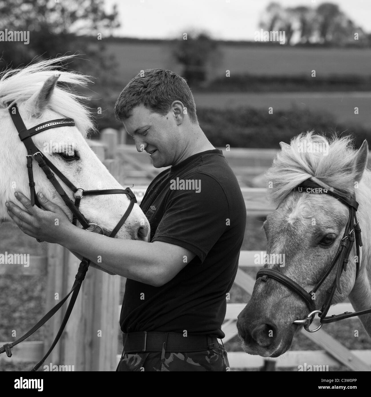 Un giovane uomo con una testa di cavallo affettuosamente con un altro pony. Foto Stock