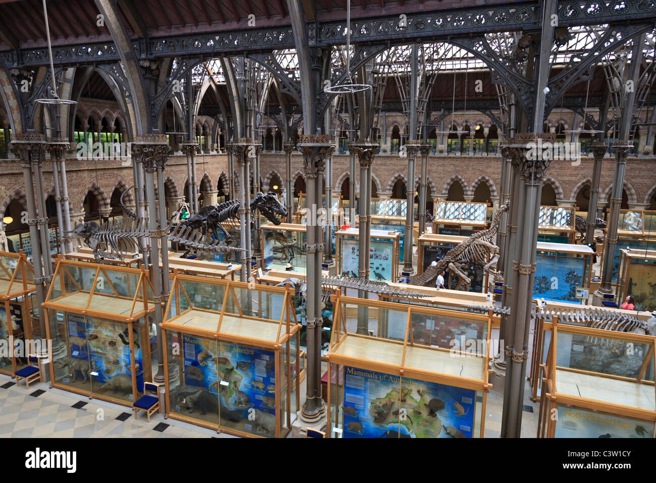 La sala principale della Oxford University del Museo di Storia Naturale, Oxford, Inghilterra Foto Stock