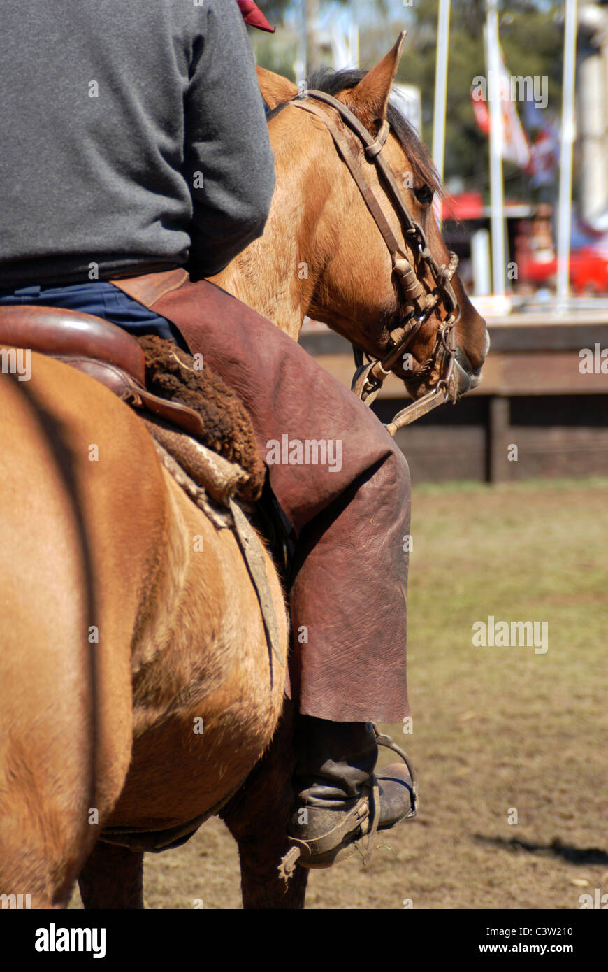 Cavallo dressage concorrenza. Cowboy su un marrone cavallo bellissimo Foto Stock