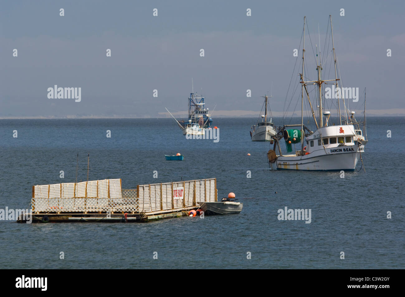Commerciale di pesca barche ancorate alla Porta San Luis, San Luis Obispo County, California Foto Stock