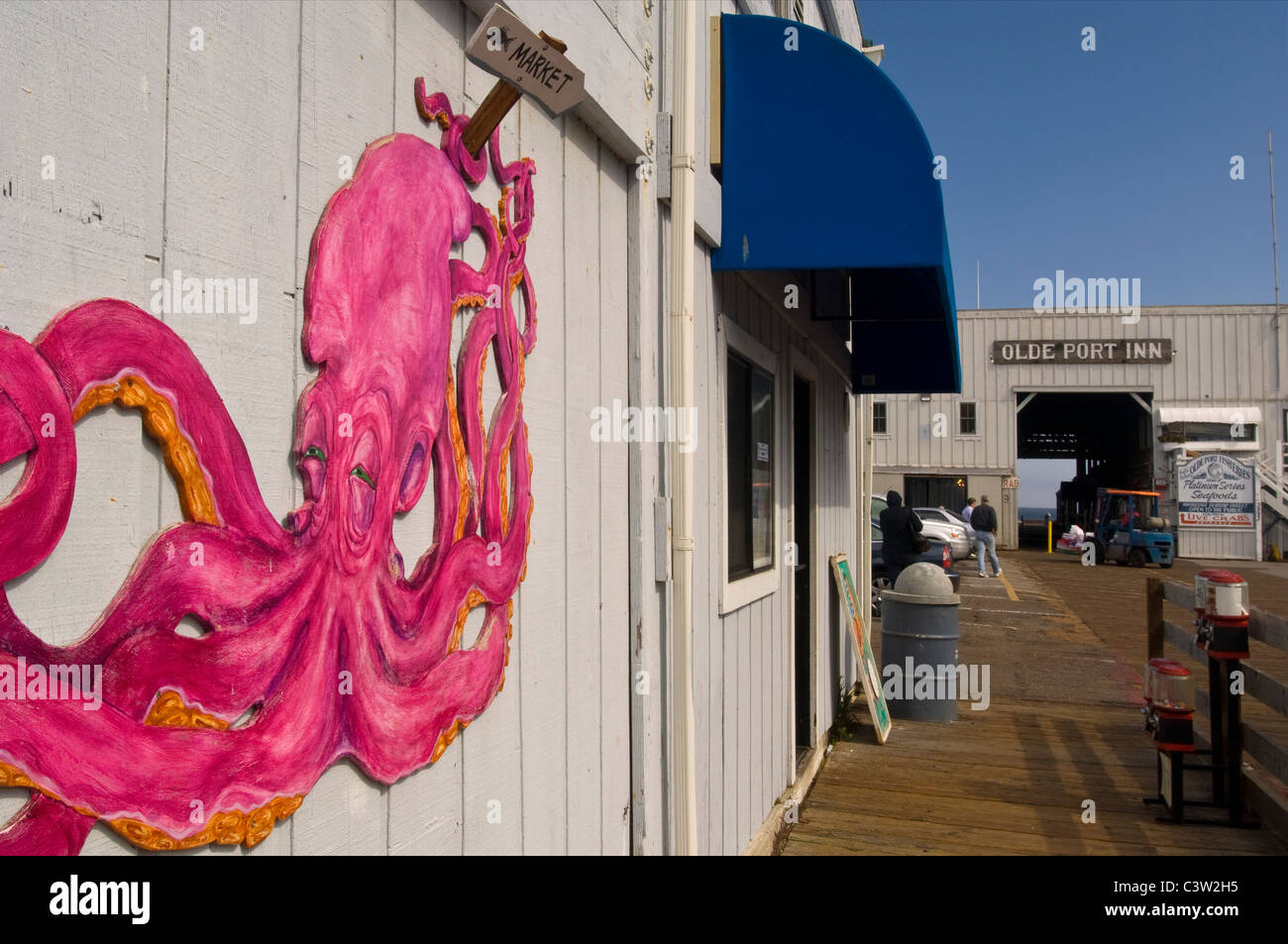 Dipinto di rosa di polpo, Hanford Pier, Porto San Luis, San Luis Obispo County, California Foto Stock