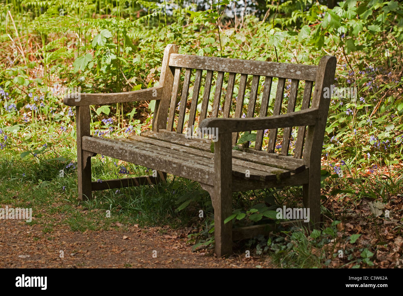 Sedile in legno in una impostazione paese Foto Stock