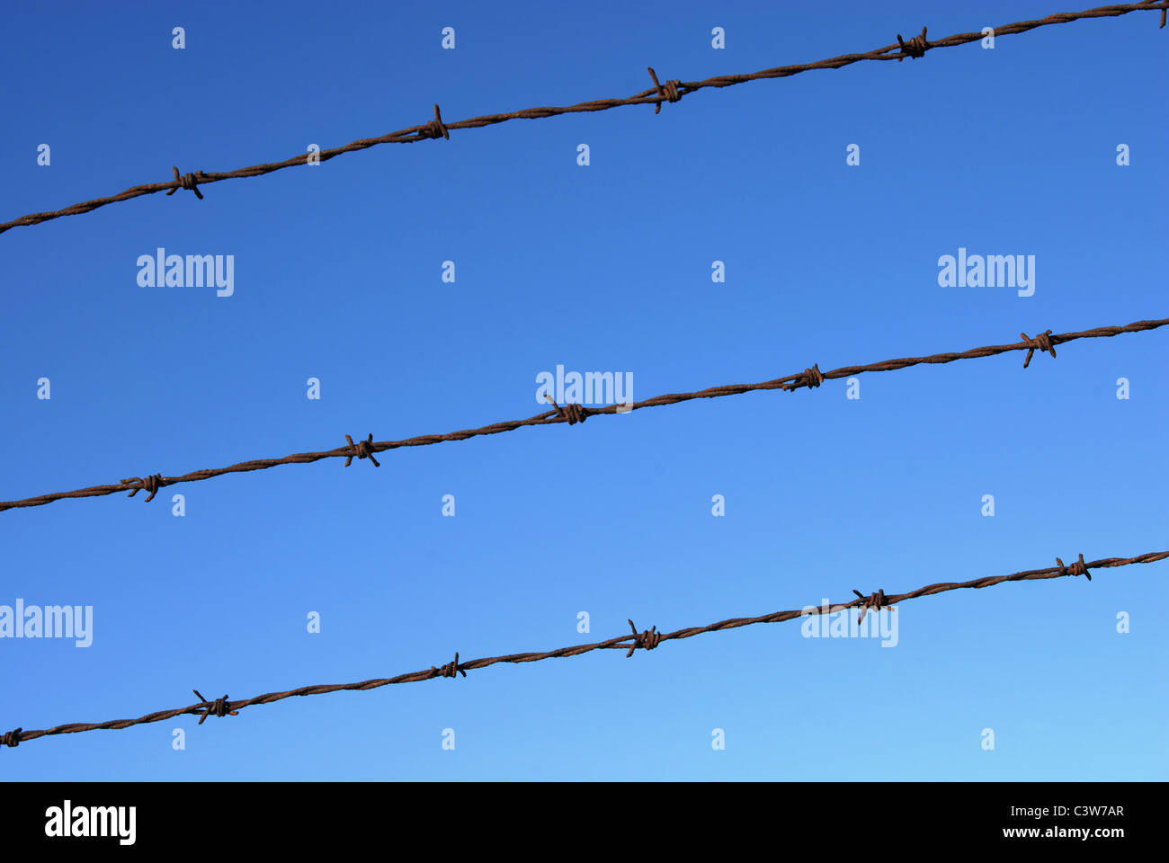 Tagliare il filo di recinzione con dettaglio di cielo blu chiaro dello sfondo. Foto Stock