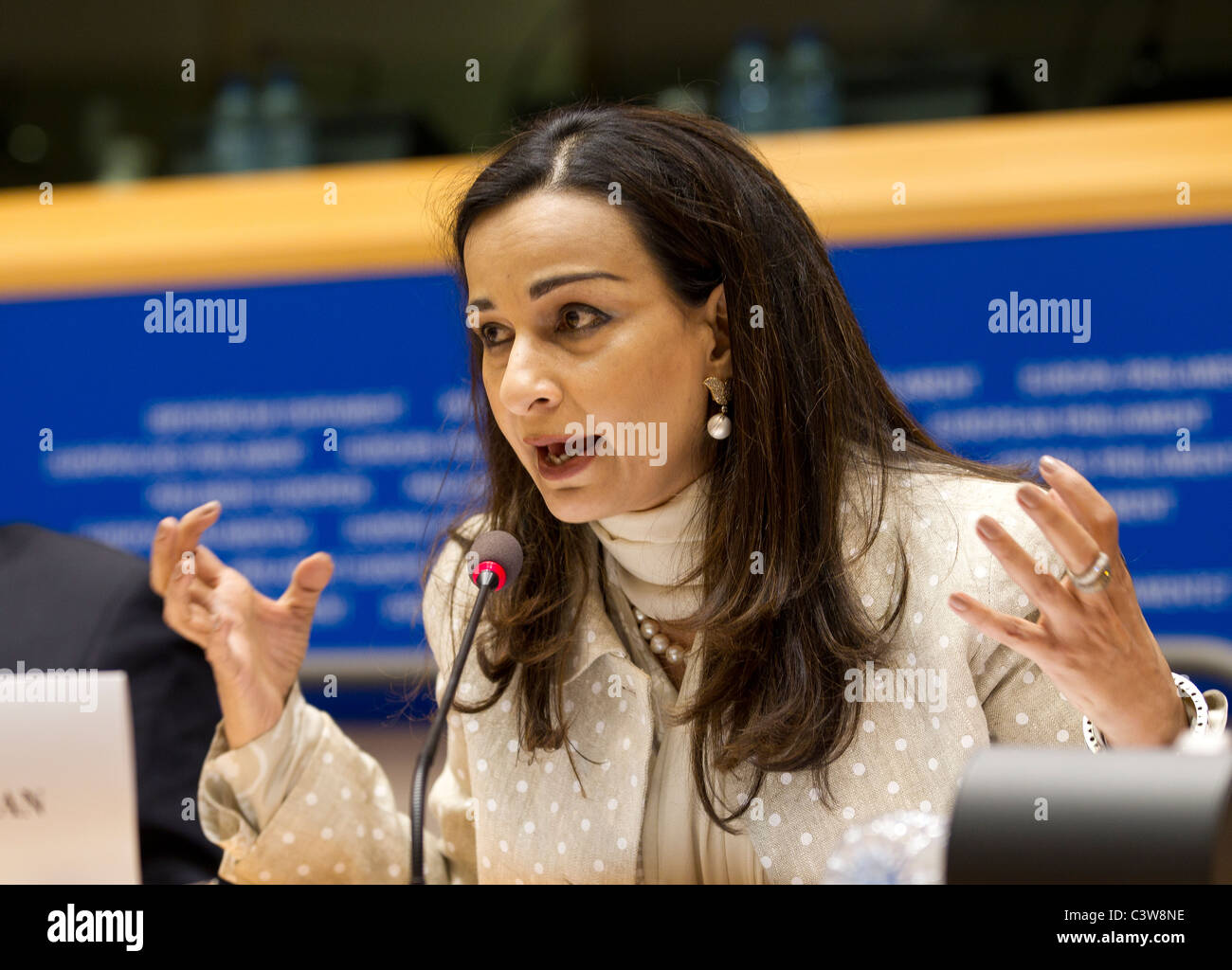 Sherry Rehman, membro del Parlamento europeo, del Pakistan Foto Stock