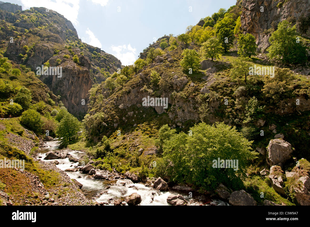 Picos de Europa costa settentrionale della Spagna Cantabrici Foto Stock