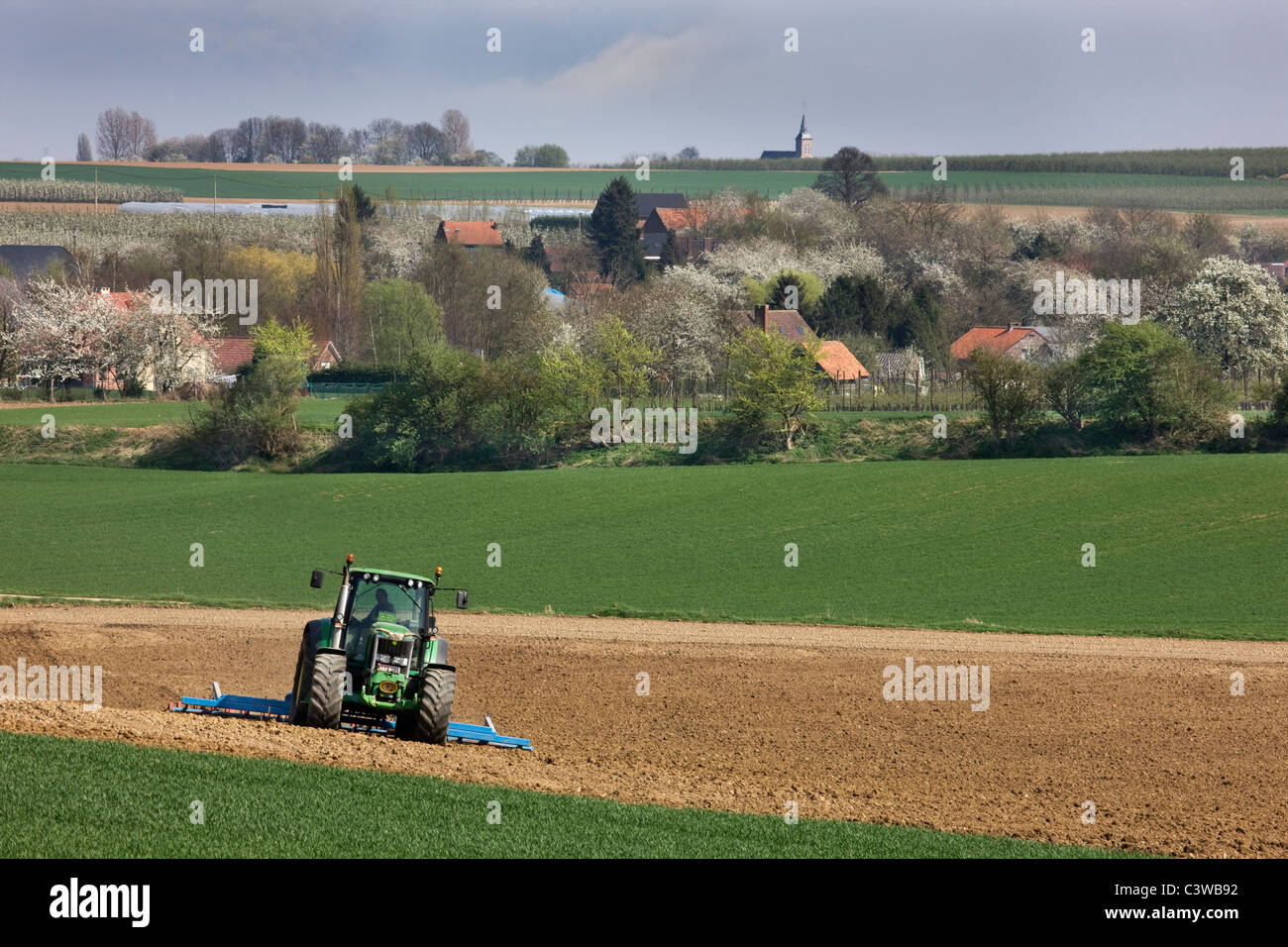 Il trattore di aratura in campo Hesbay, Belgio Foto Stock