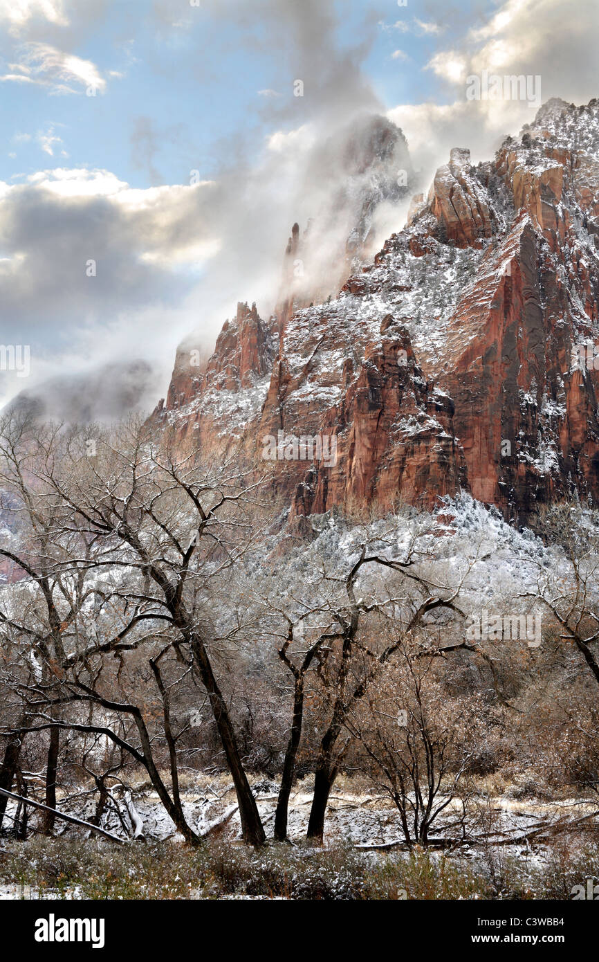 E frastagliate e di cloud protetto picchi in inverno al Parco Nazionale Zion, Utah, Stati Uniti d'America Foto Stock