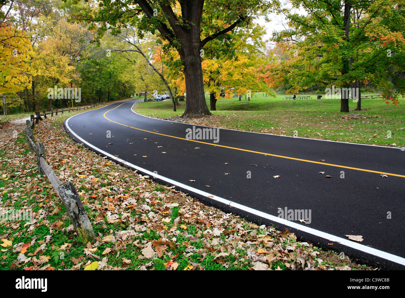 Un asfalto strada attraverso il parco in un giorno di pioggia in autunno, Sharon boschi, Southwestern Ohio, Stati Uniti d'America Foto Stock