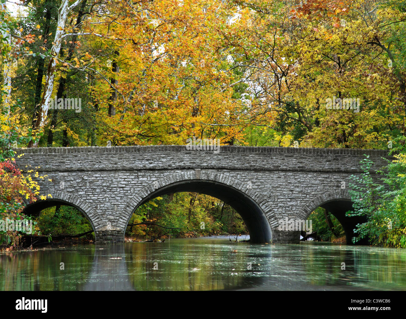 Un ponte di pietra su di un fiume in autunno al parco dei Boschi di Sharon, Southwestern Ohio, Stati Uniti d'America Foto Stock