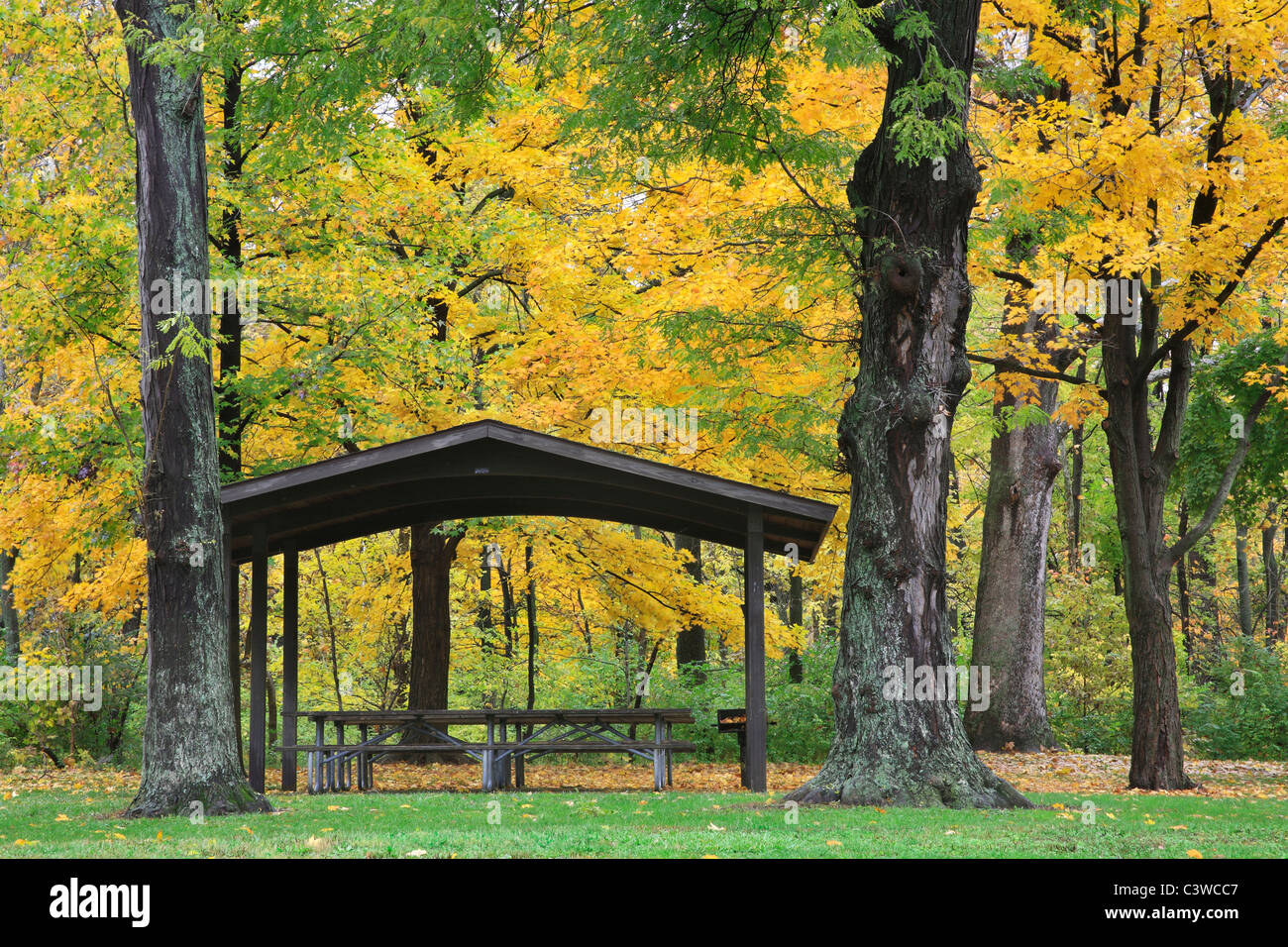 Un picnic grotta in autunno al parco dei Boschi di Sharon, Southwestern Ohio, Stati Uniti d'America Foto Stock