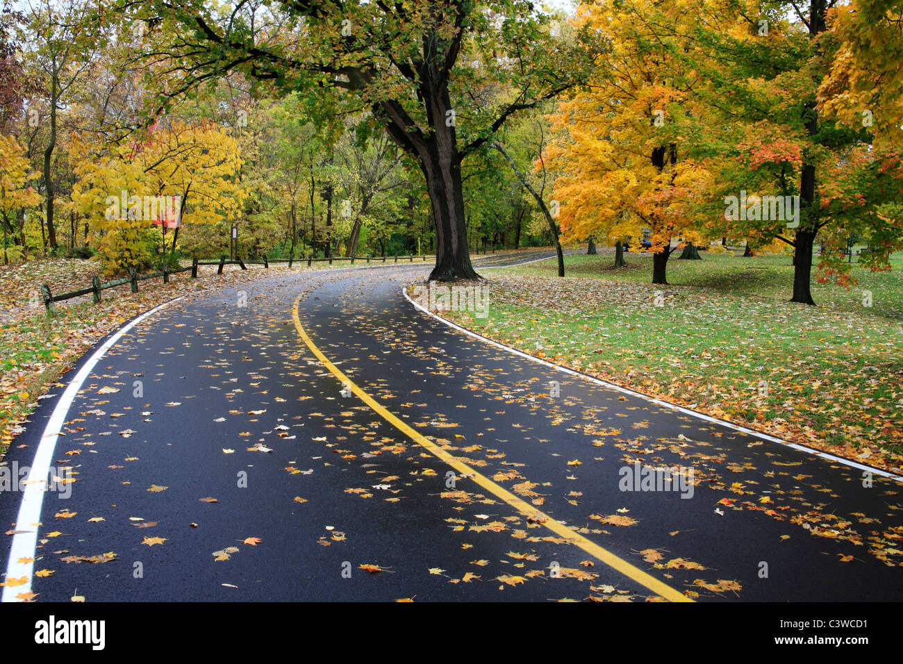 Un asfalto strada attraverso il parco in una piovosa giornata autunnale, Sharon boschi, Southwestern Ohio, Stati Uniti d'America Foto Stock