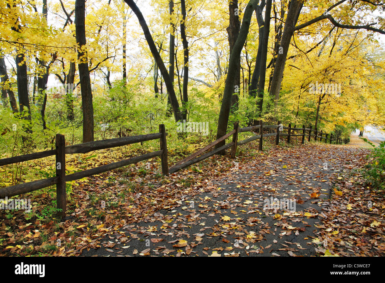 Un percorso a piedi e una recinzione durante l'Autunno nel parco, Sharon boschi, Southwestern Ohio, Stati Uniti d'America Foto Stock
