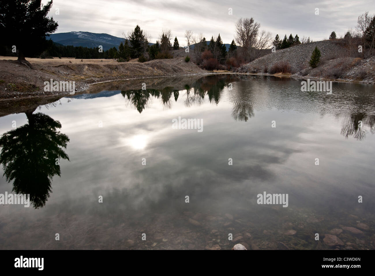 La riflessione in un dragare tailing stagno vicino Gold Creek, Montana. Foto Stock