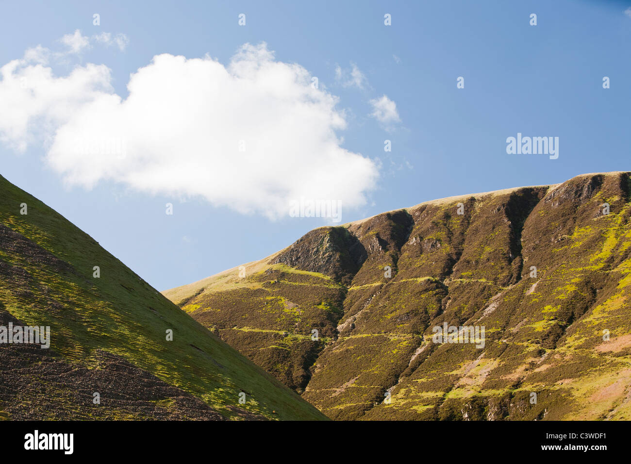 Moorland vegetazione vicino il famoso grigio coda Mares cascata, al di sopra di Moffat in scozzese altipiani del Sud, Regno Unito. Foto Stock