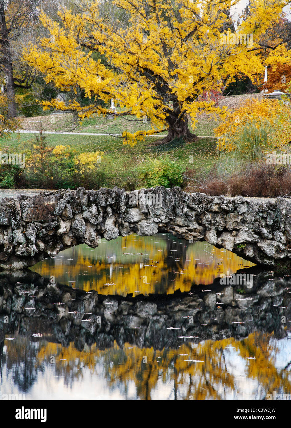 Una fiammante giallo Tree e il Ponte di Pietra su un tranquillo stagno durante l'Autunno nel parco, Southwestern Ohio, Stati Uniti d'America Foto Stock