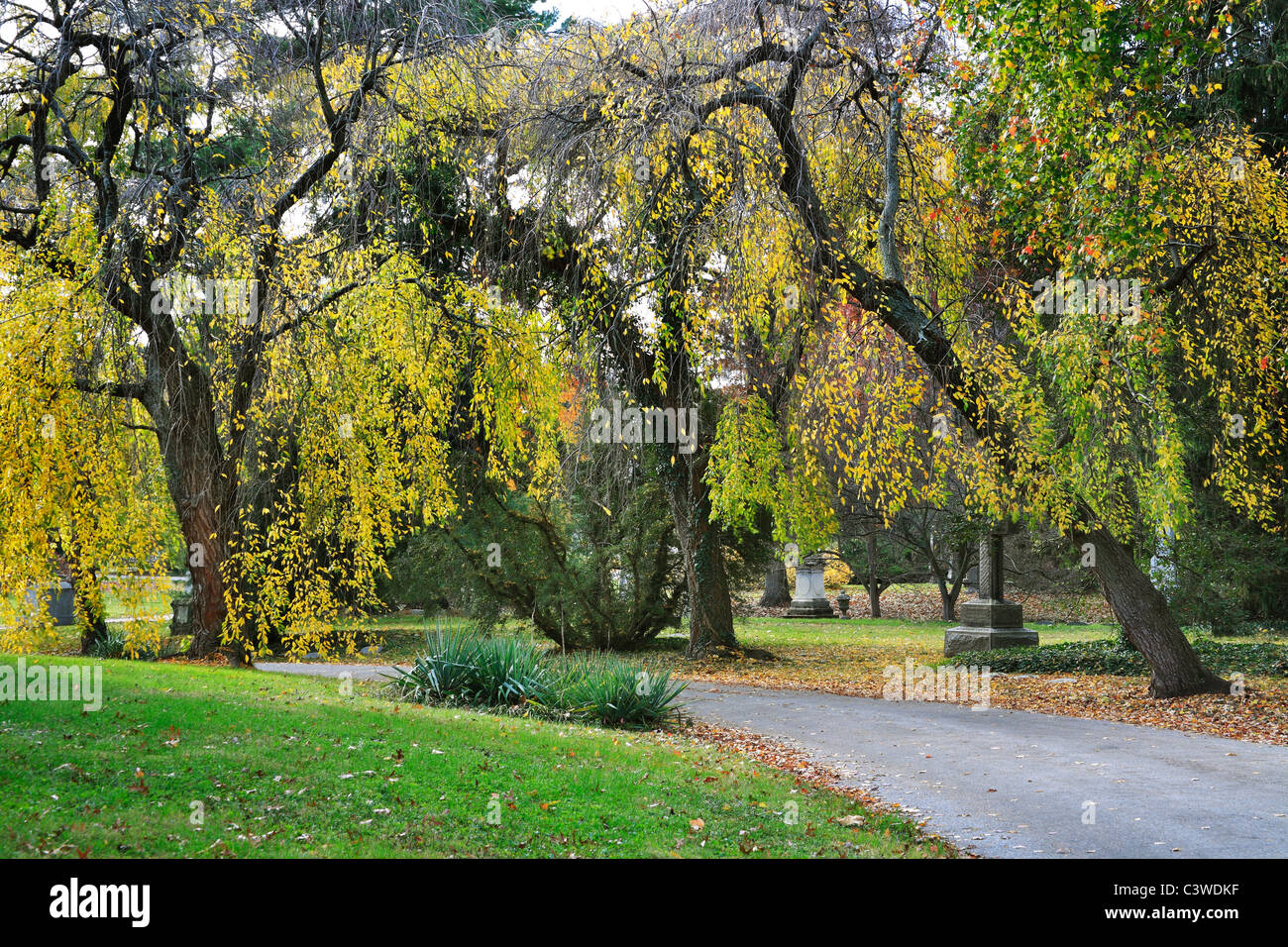 Un cimitero su strada e gli alberi di salice in autunno, Southwestern Ohio, Stati Uniti d'America Foto Stock