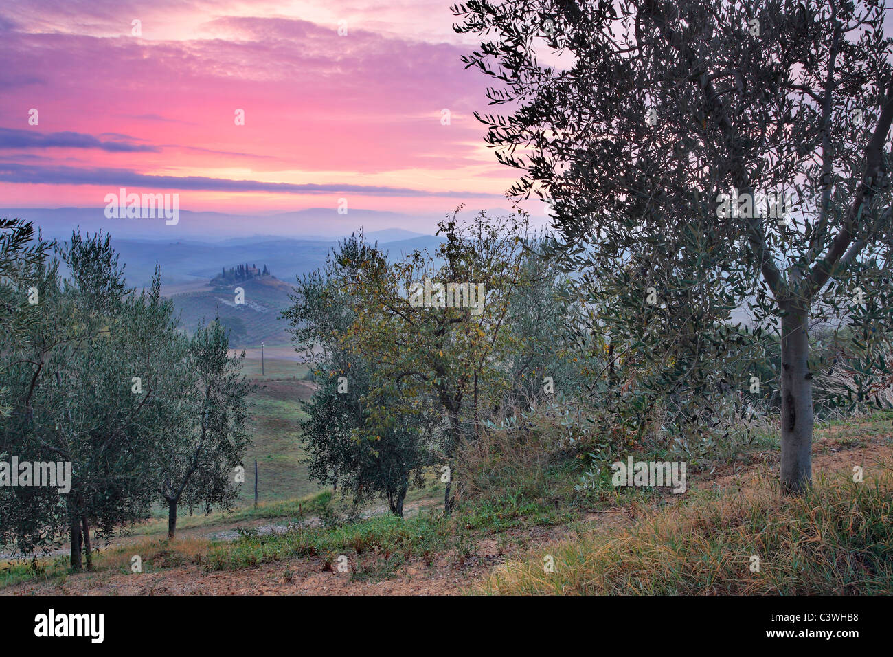 Misty sunrise su una solitaria villa come visto da un uliveto nei pressi di San Quirico d'Orcia in Toscana, Italia Foto Stock