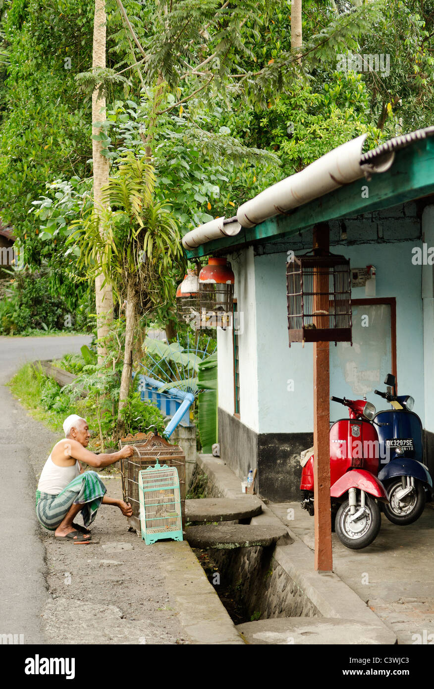 Scena di strada in Bali Indonesia Foto Stock