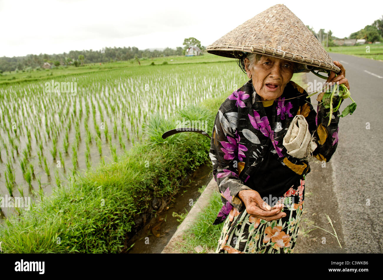 Vecchia donna nelle zone rurali a Bali Indonesia Foto Stock