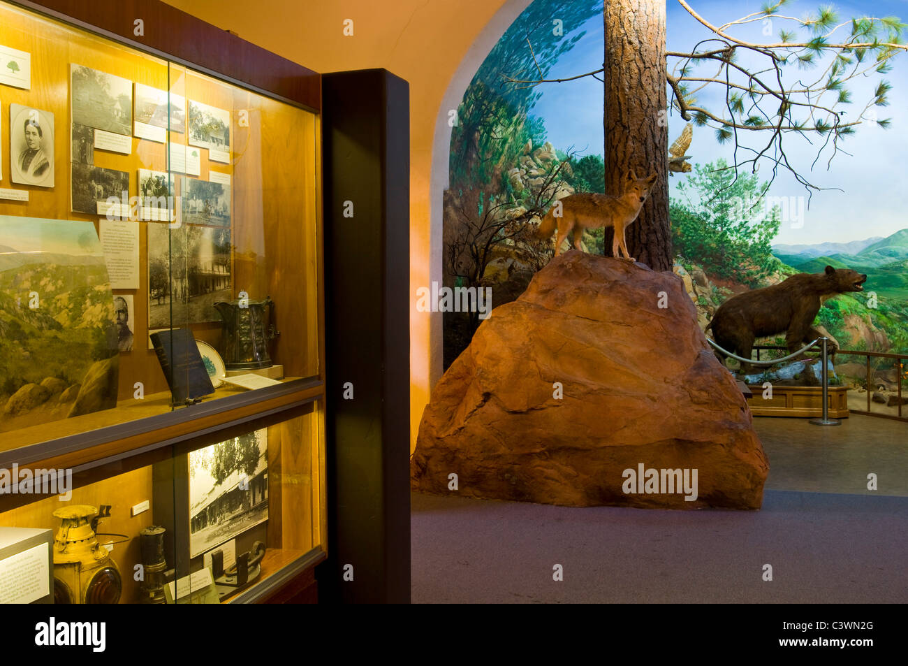 Storia naturale esporre alla Ojai Valley Museum, Ojai, California Foto Stock