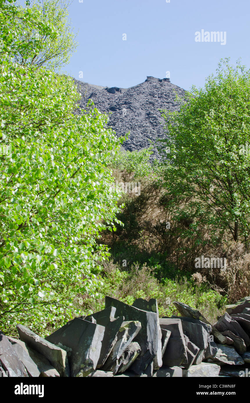 Edificio rovinato sullo skyline, Dinorwig cava di ardesia, Snowdonia, Galles del Nord, Regno Unito Foto Stock