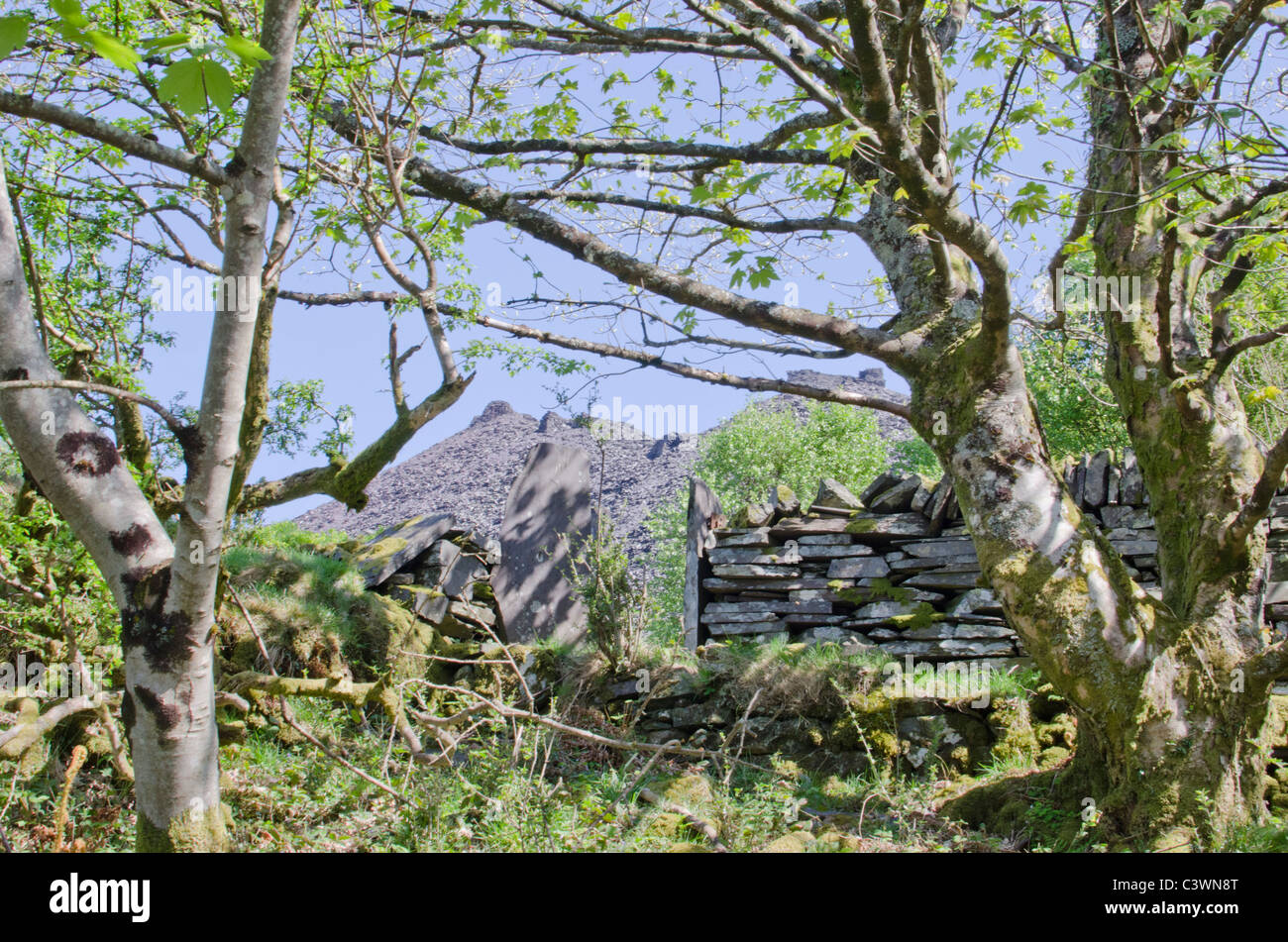 Edificio rovinato sullo skyline, Dinorwig cava di ardesia, Snowdonia, Galles del Nord, Regno Unito Foto Stock