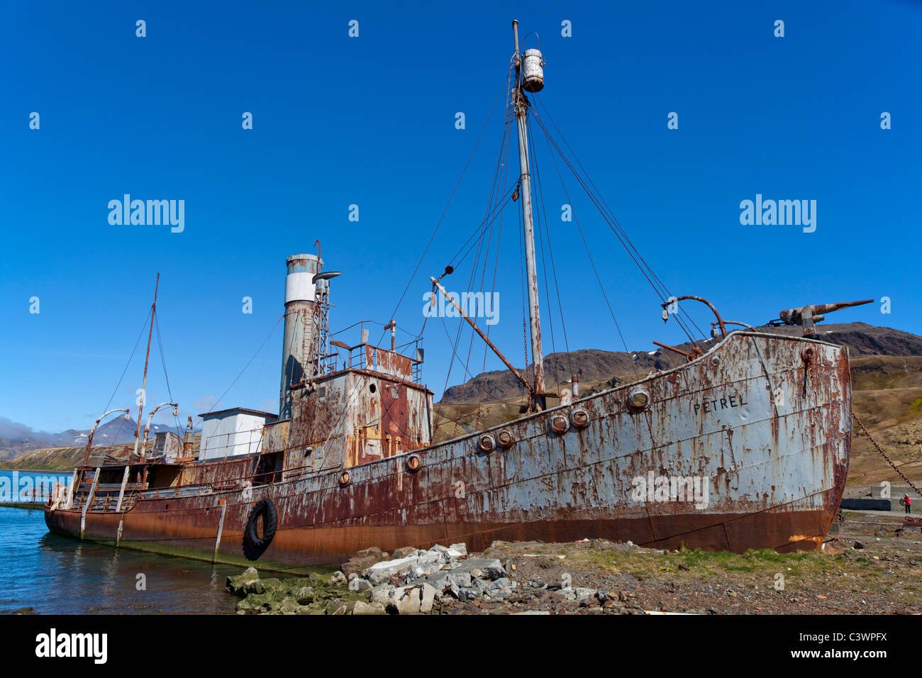 Il relitto del Petrel, spiaggiata a Grytviken stazione baleniera, Isola Georgia del Sud Foto Stock