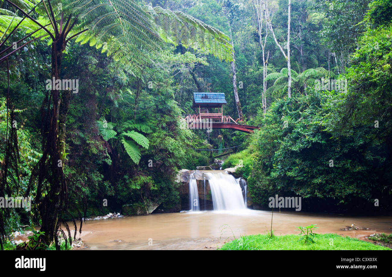 Parit Falls, Cameron Highlands, Malaysia Foto Stock