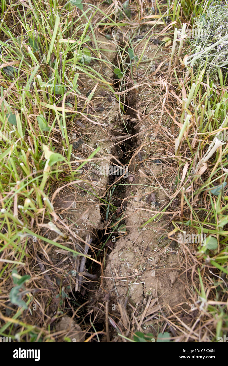 22.5.2011 crepe nel suolo in un campo di agricoltori a causa della siccità. Foto Stock