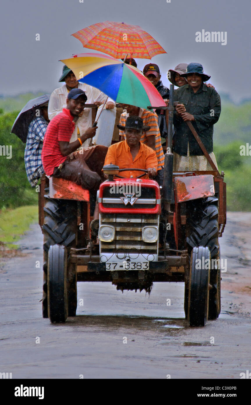 Felice agricoltura lavoratori trasportati a lavorare dal trattore in acquazzone Sud Sri Lanka Foto Stock