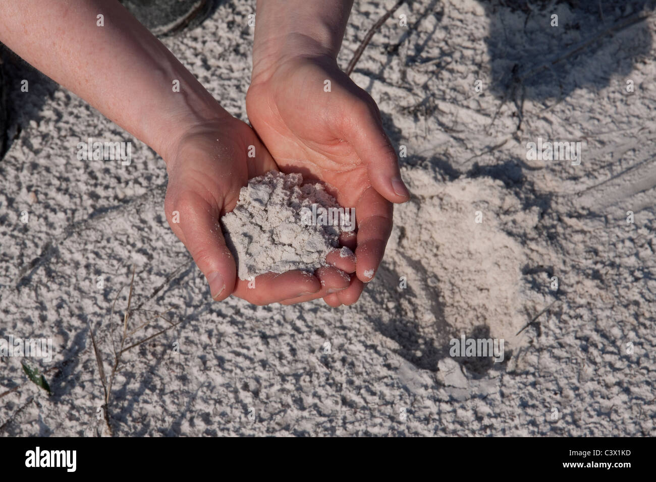 Zucchero o sabbia silicea Florida USA Foto Stock
