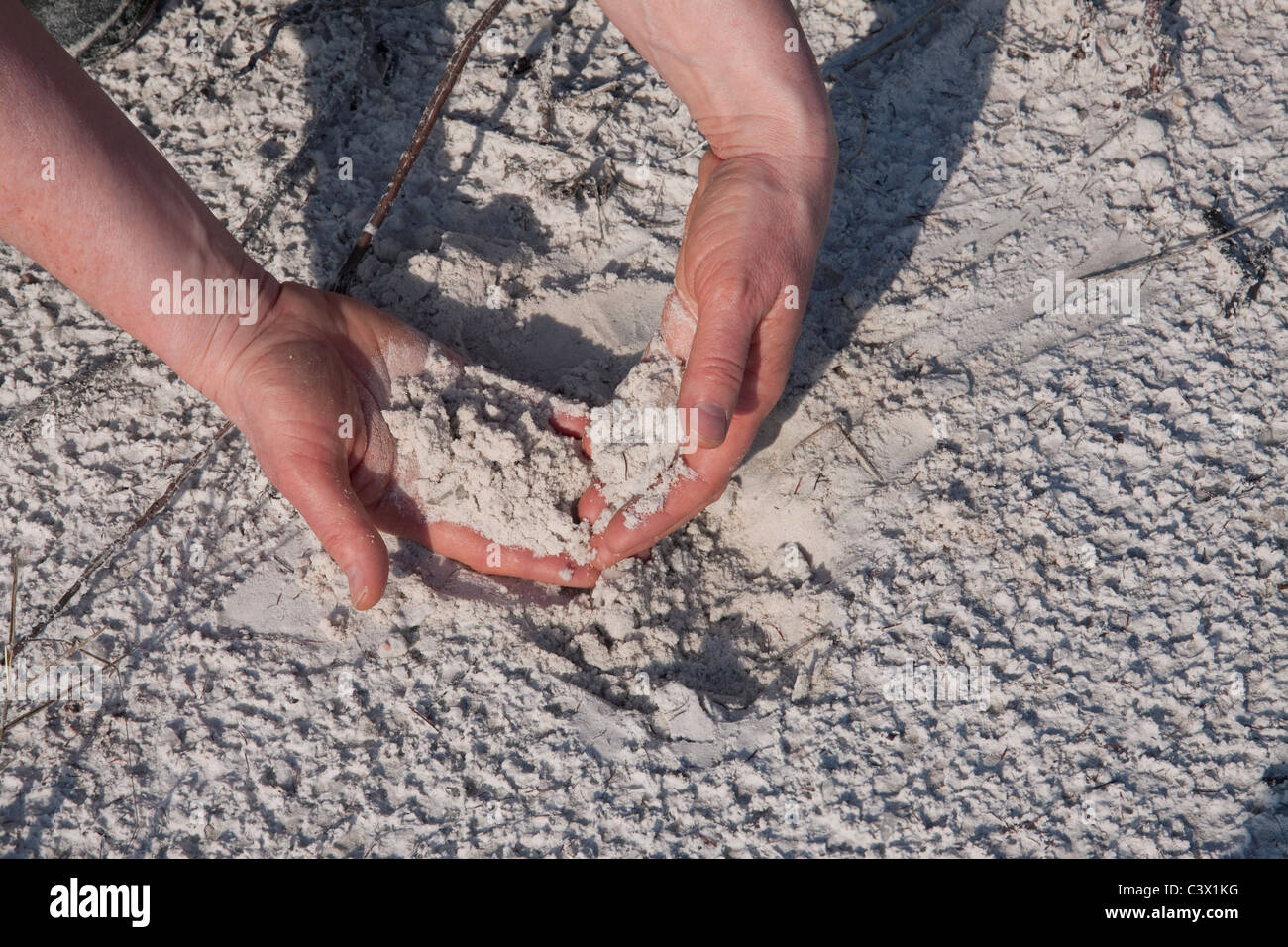 Zucchero o sabbia silicea Florida USA Foto Stock