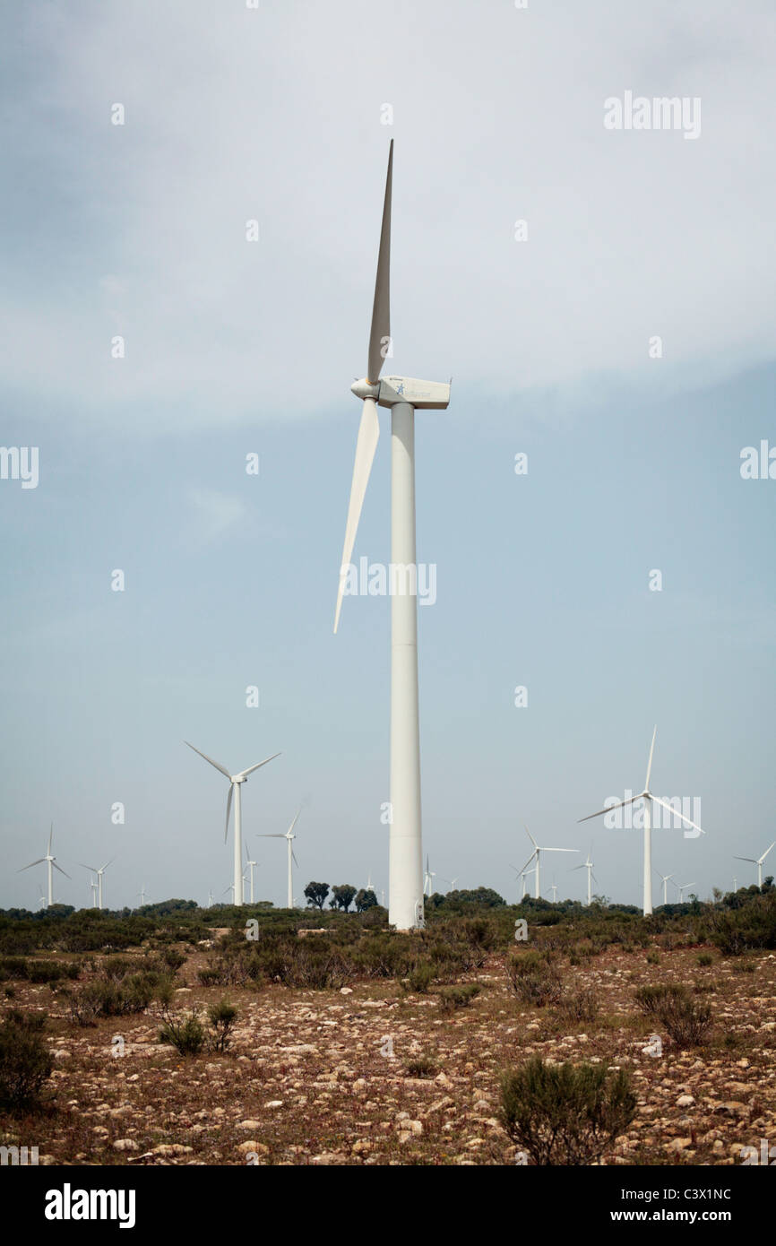 Cap Sim wind farm appena a sud di Essaouira in Marocco la costa atlantica Foto Stock
