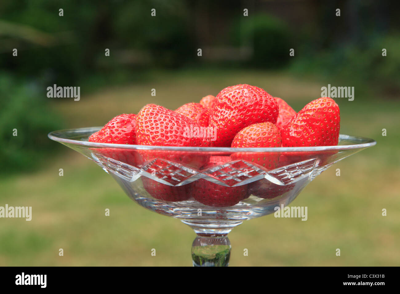 Estate di fragole Foto Stock