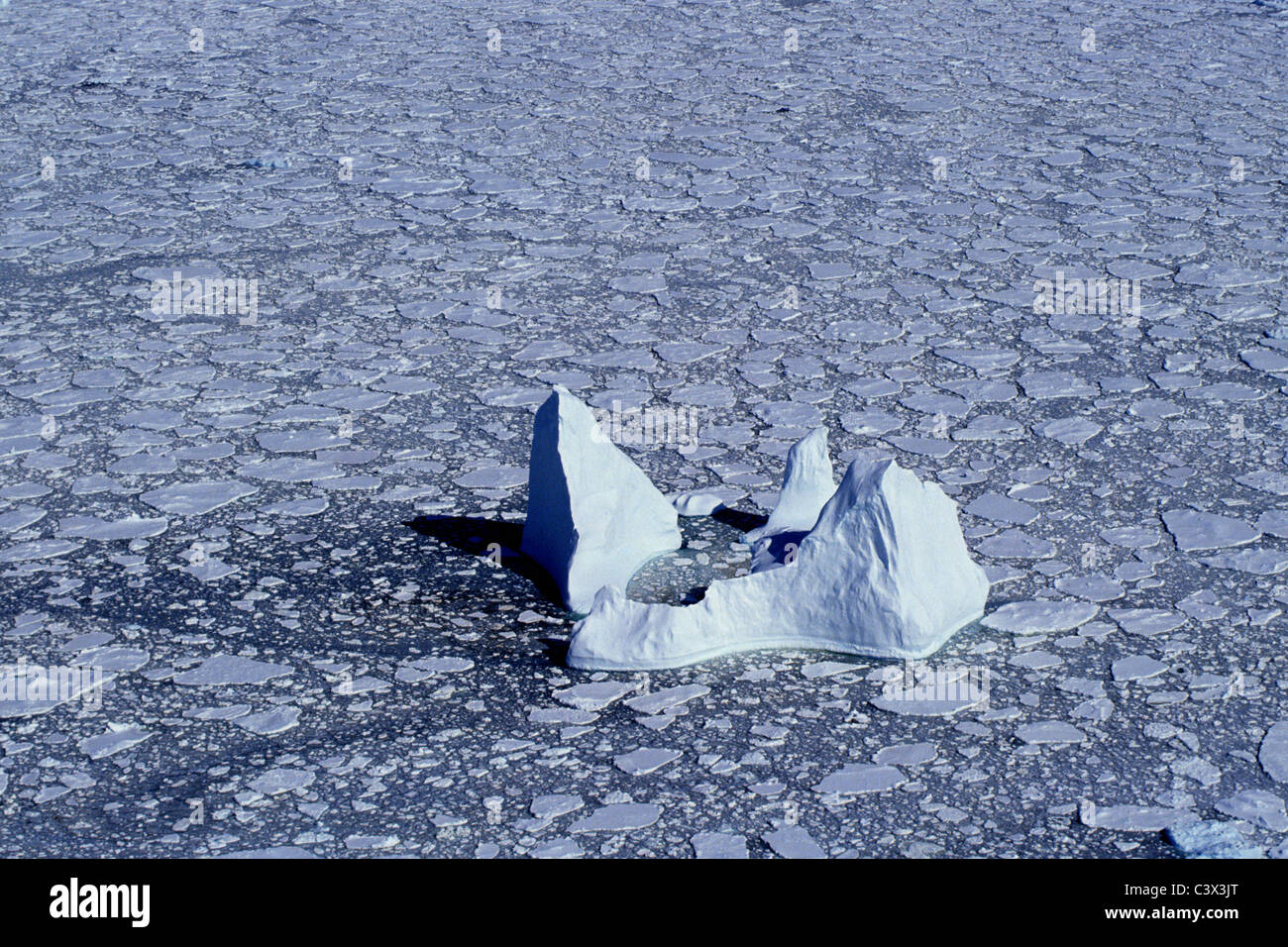 L'Antartide. Paesaggio. Antenna di iceberg galleggianti e pack di ghiaccio. Foto Stock