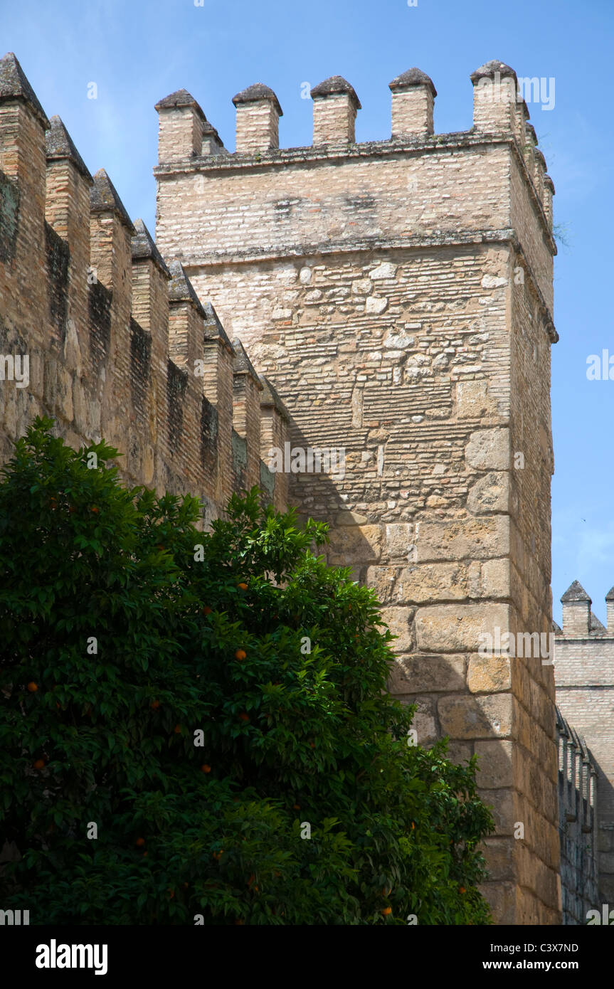 Dettaglio del muro di castello, Siviglia, Spagna Foto Stock