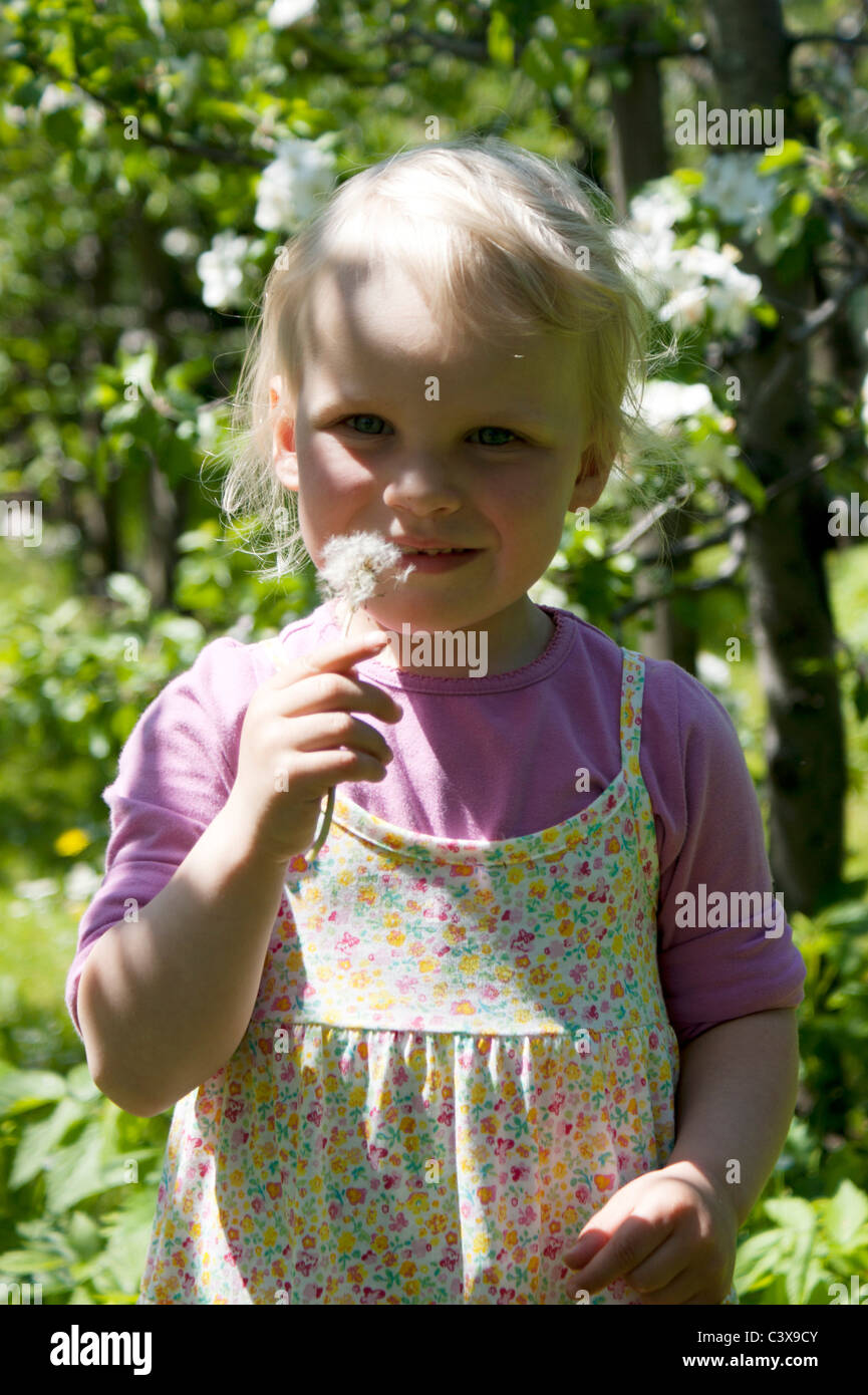 Bellissima bambina soffiando tarassaco Foto Stock