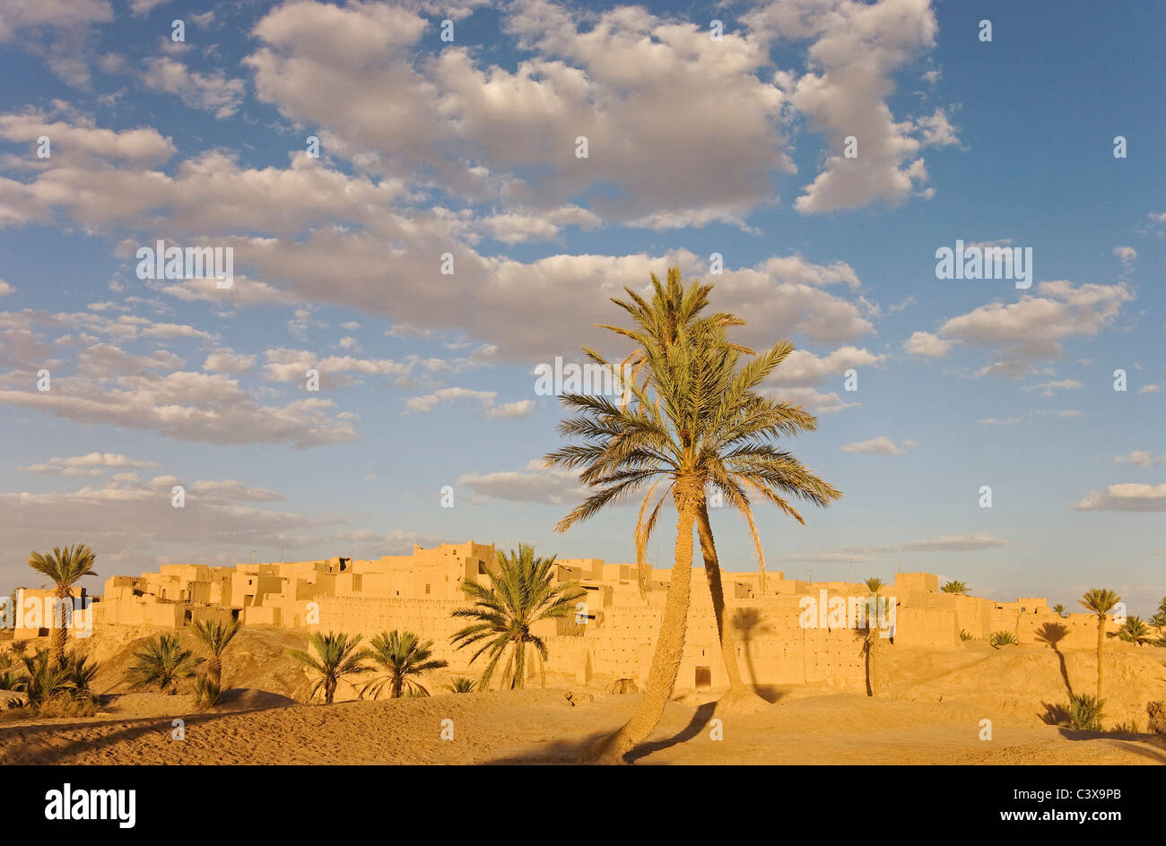 Uno dei numerosi ksour (villaggi fortificati) nel palmeries intorno Rissani con le sue palme da dattero (Phoenix dactylifera). Foto Stock